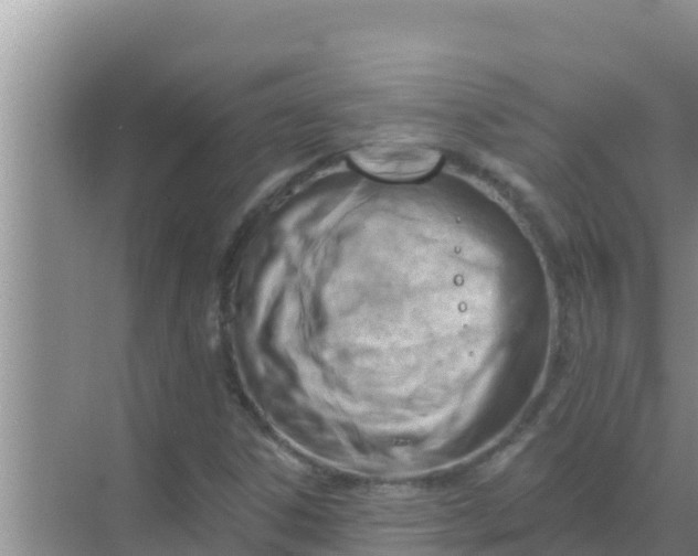 X0000069381306200605262040