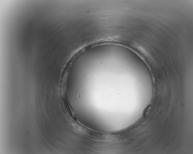 X0000069381308200605262040