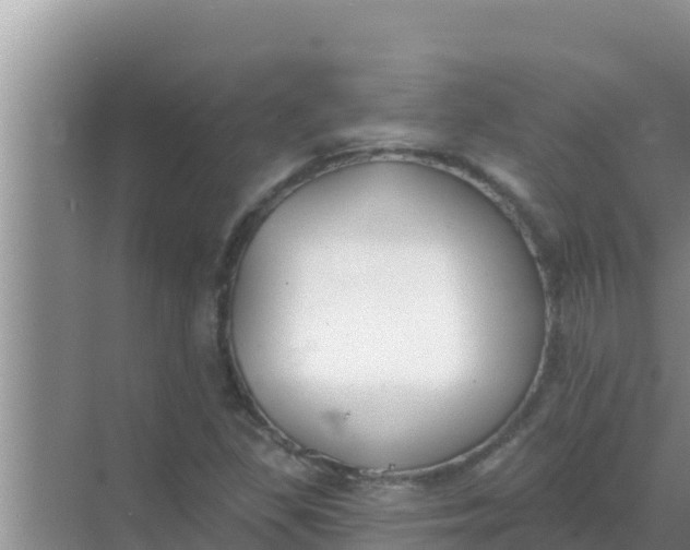 X0000069381309200605262040