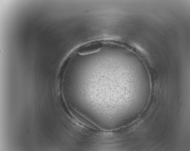 X0000069381310200605262040