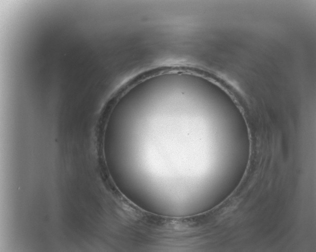 X0000069381311200605262040