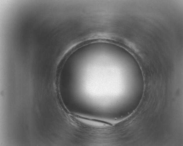 X0000069381312200605262040