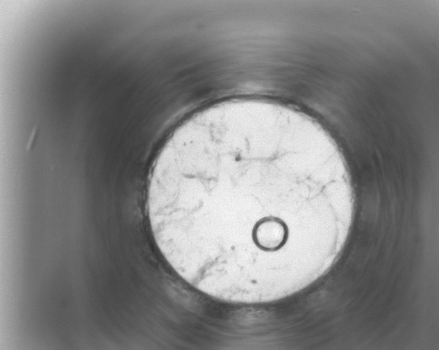 X0000069381314200605262040