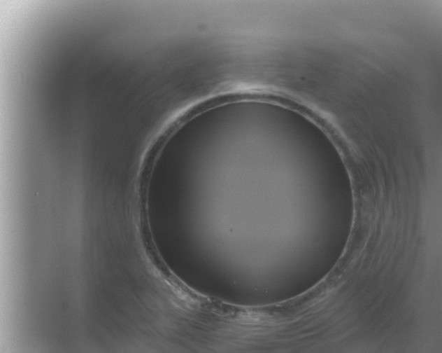 X0000069381319200605262040