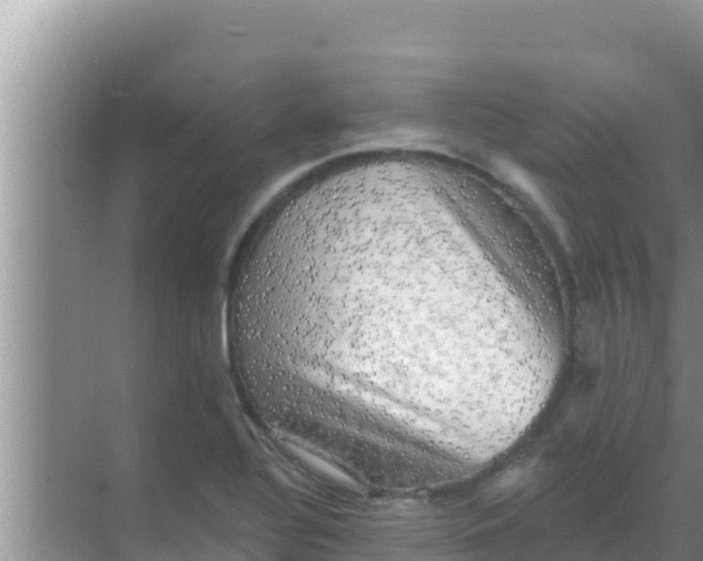 X0000069381320200605262040