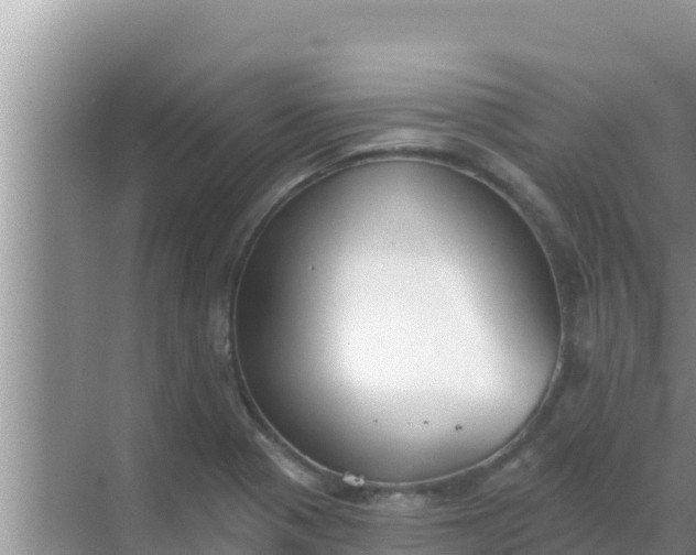 X0000069381321200605262040