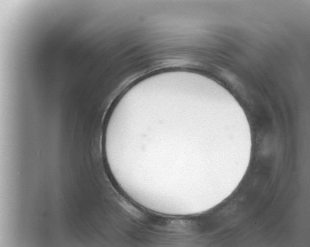 X0000069381322200605262040