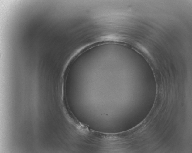 X0000069381323200605262040