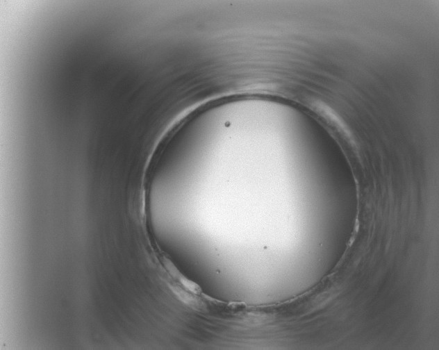 X0000069381324200605262040