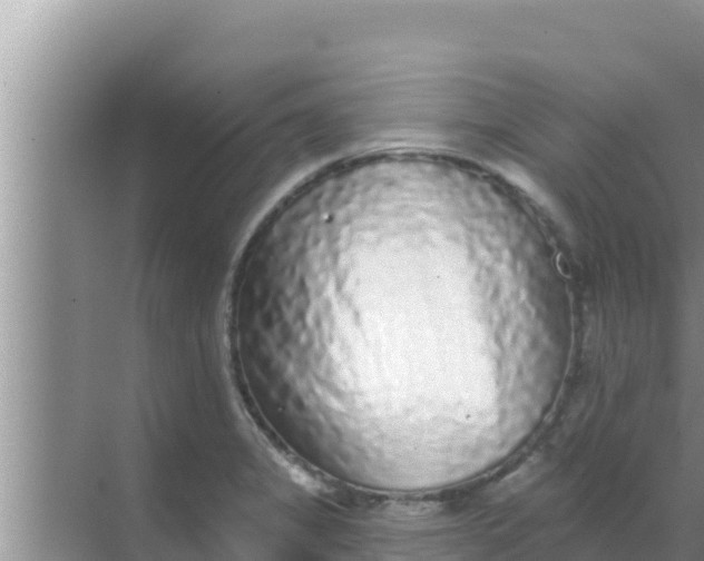 X0000069381325200605262040