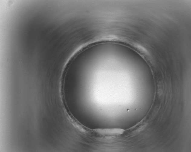 X0000069381326200605262040