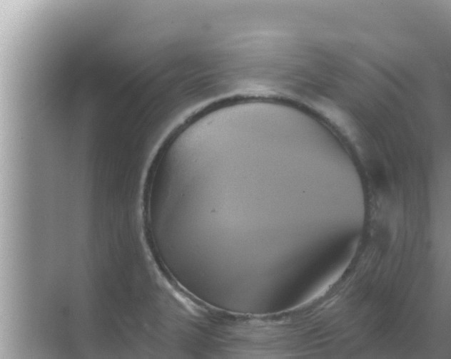 X0000069381327200605262040