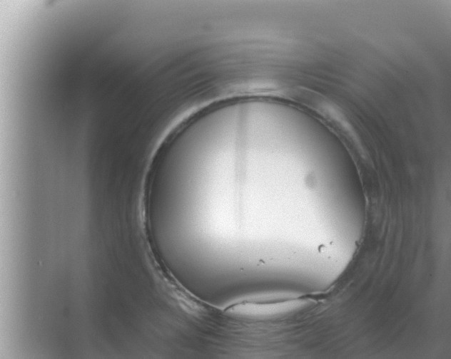 X0000069381328200605262040