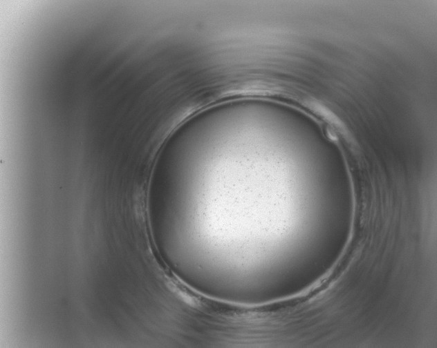 X0000069381329200605262040