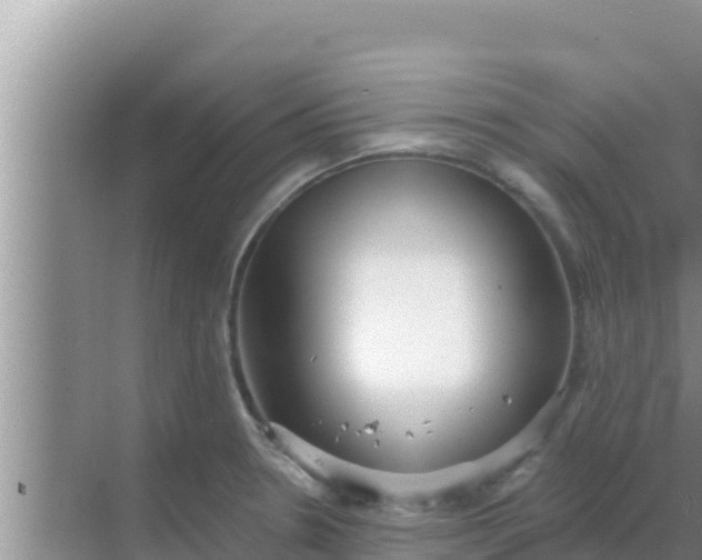 X0000069381330200605262040