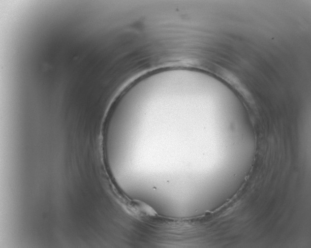 X0000069381332200605262040