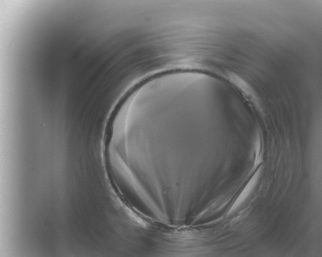 X0000069381334200605262040