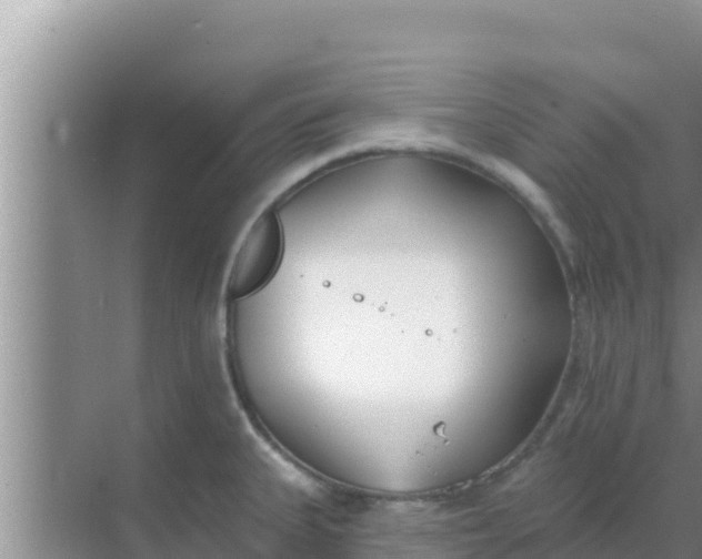 X0000069381335200605262040