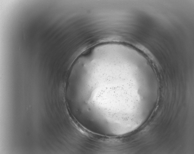 X0000069381337200605262040