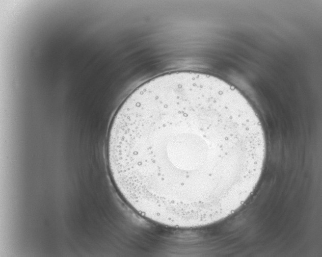 X0000069381338200605262040