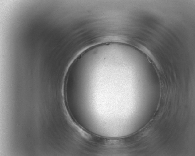 X0000069381339200605262040