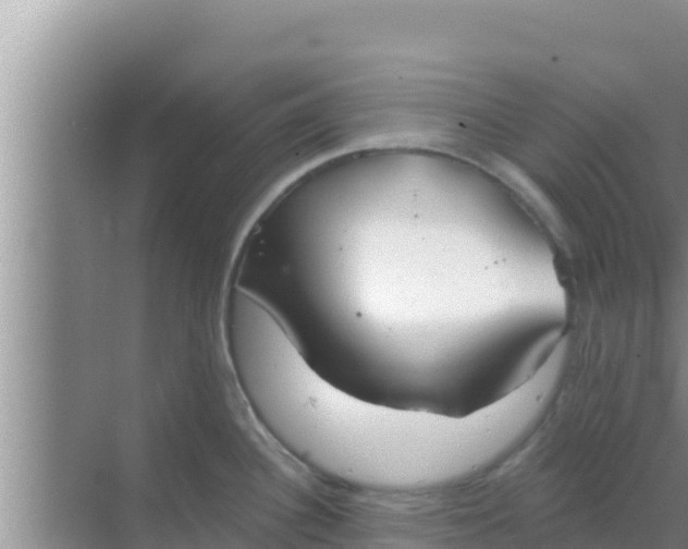 X0000069381340200605262041