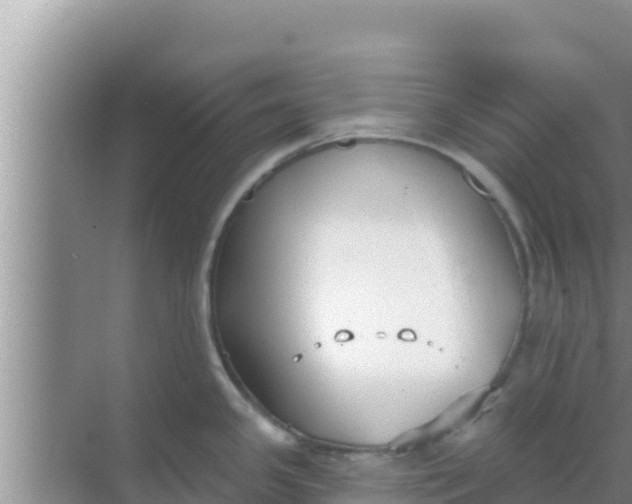 X0000069381341200605262041