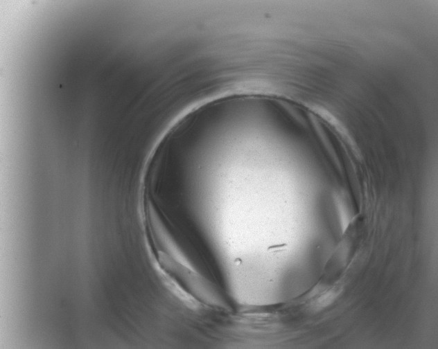 X0000069381342200605262041