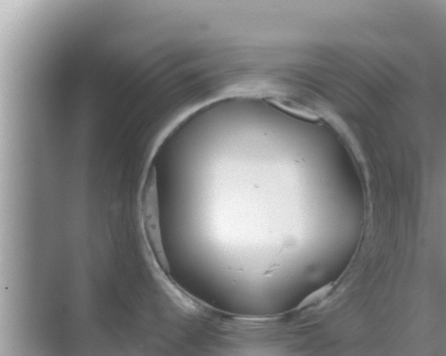 X0000069381344200605262041