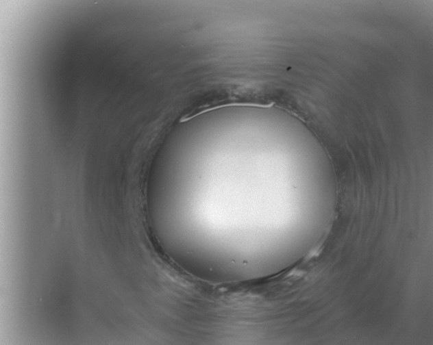 X0000069381345200605262040