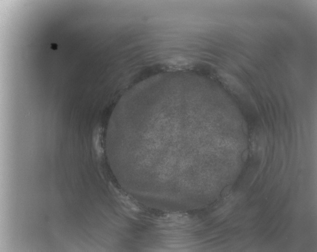 X0000069381346200605262040