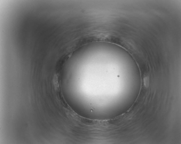 X0000069381347200605262040