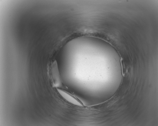 X0000069381348200605262040