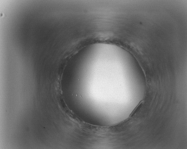 X0000069381349200605262040