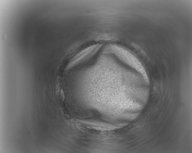 X0000069381350200605262040