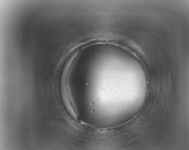 X0000069381352200605262040