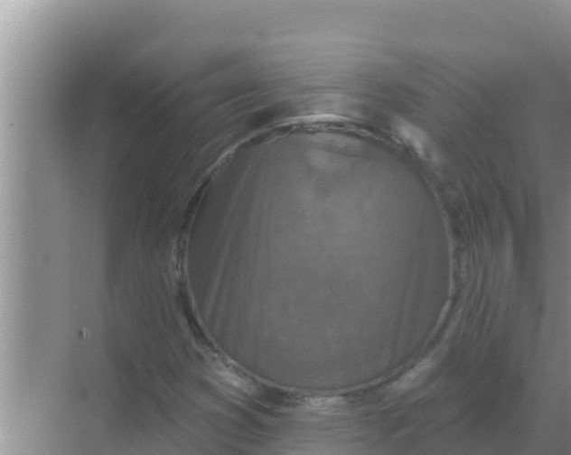 X0000069381353200605262040