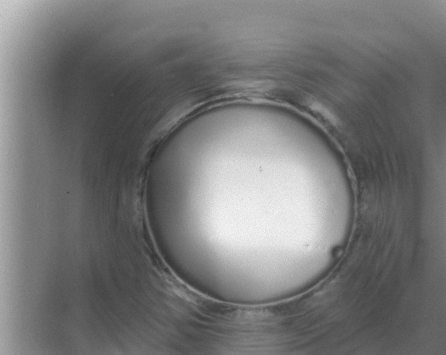 X0000069381354200605262040