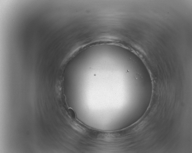 X0000069381355200605262040