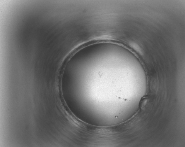 X0000069381356200605262040