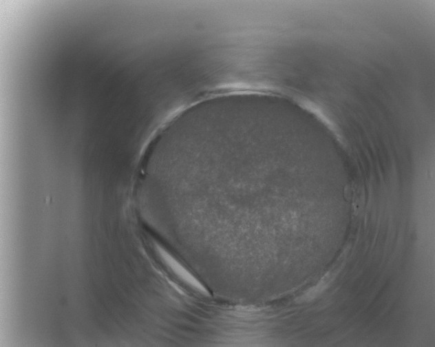 X0000069381357200605262040