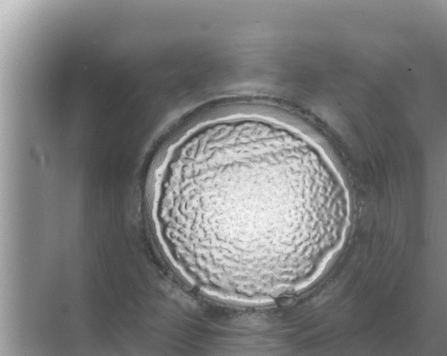 X0000069381358200605262040