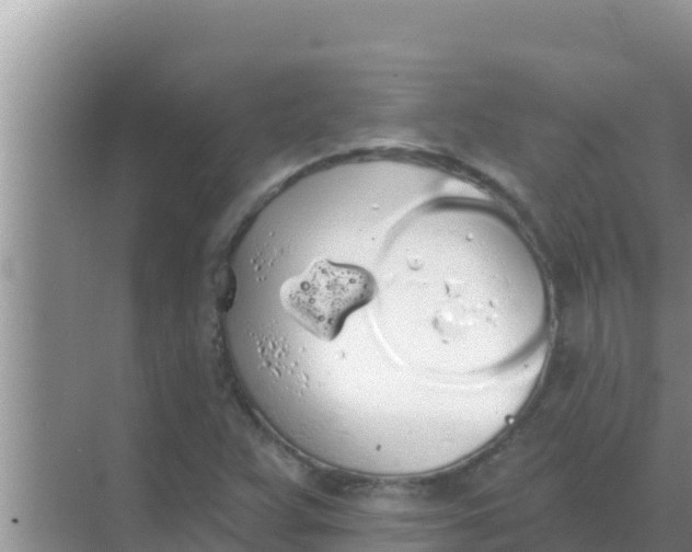 X0000069381359200605262040