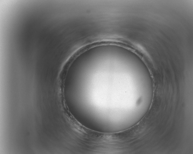 X0000069381360200605262040