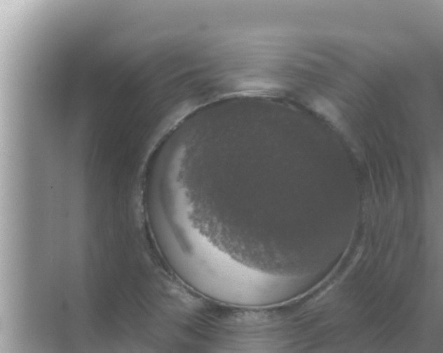 X0000069381362200605262039