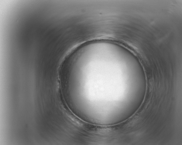 X0000069381363200605262039