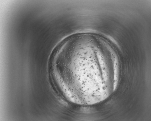 X0000069381364200605262039