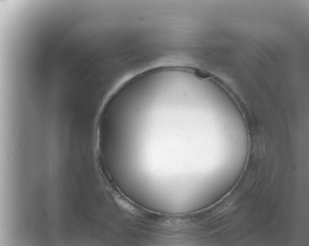 X0000069381366200605262039