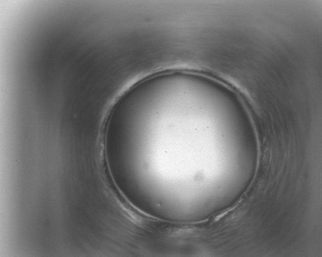 X0000069381367200605262039