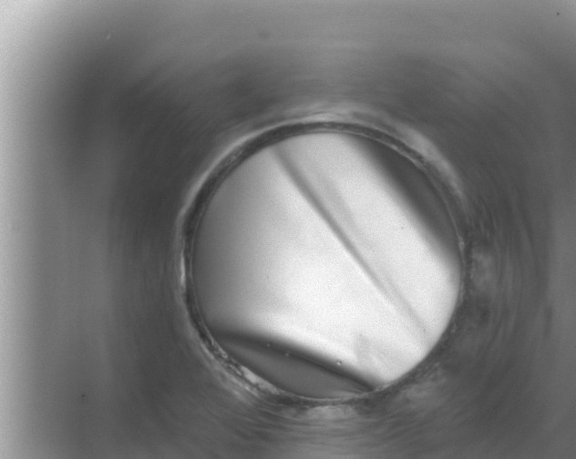 X0000069381368200605262039